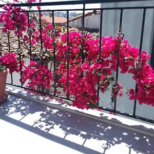Casa Magnolia Boutique Rooms